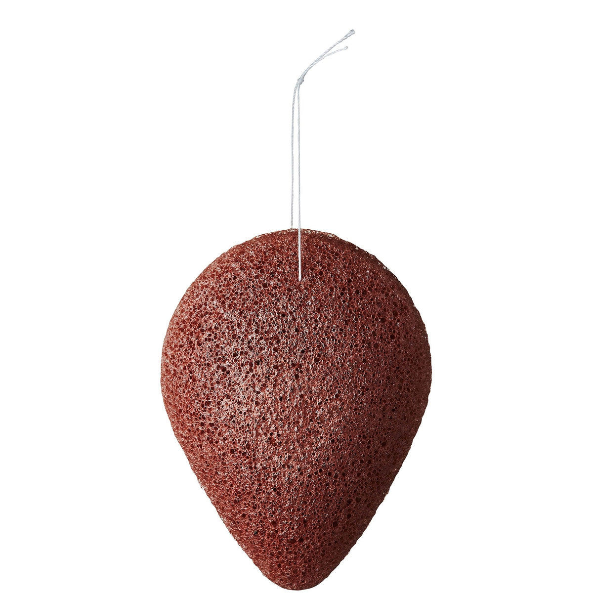 Éponge de Konjac