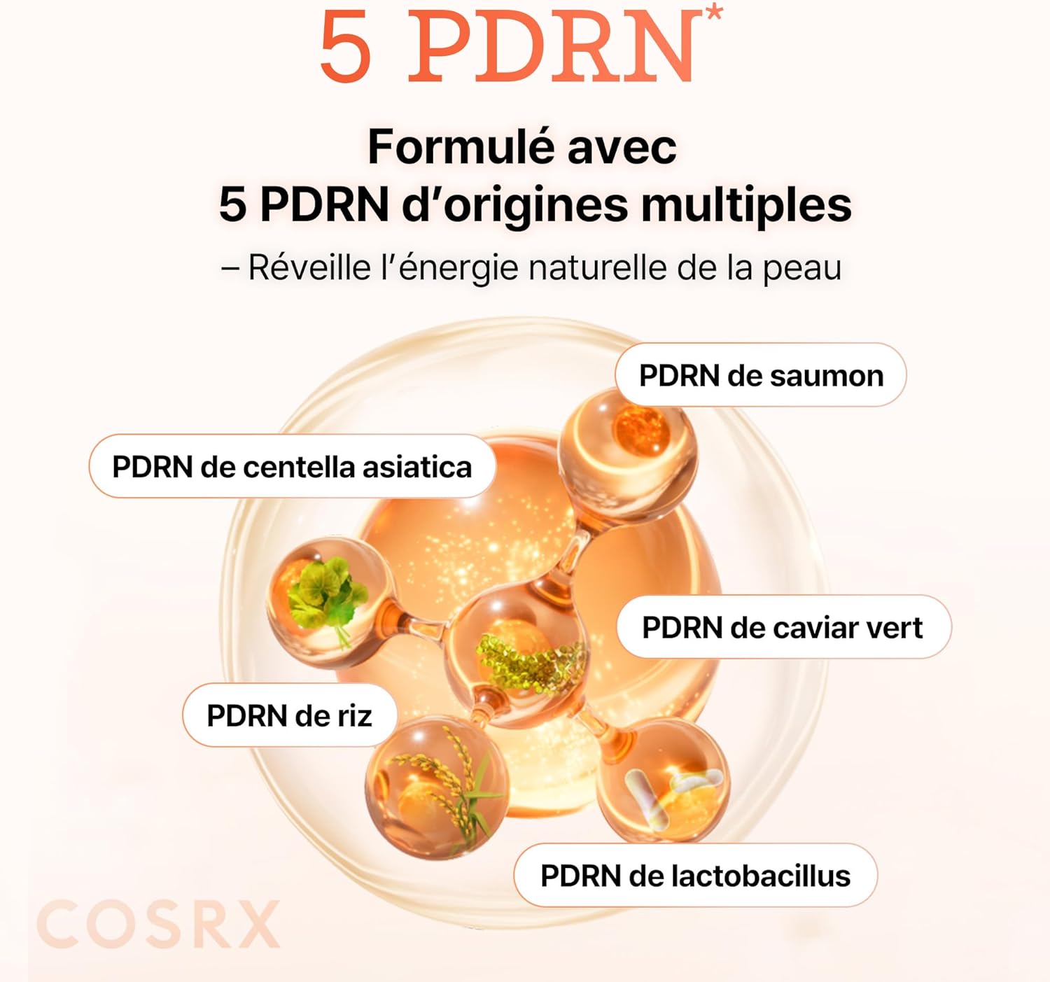 Sérum Vitalizing intense 5 PDRN et Collagène