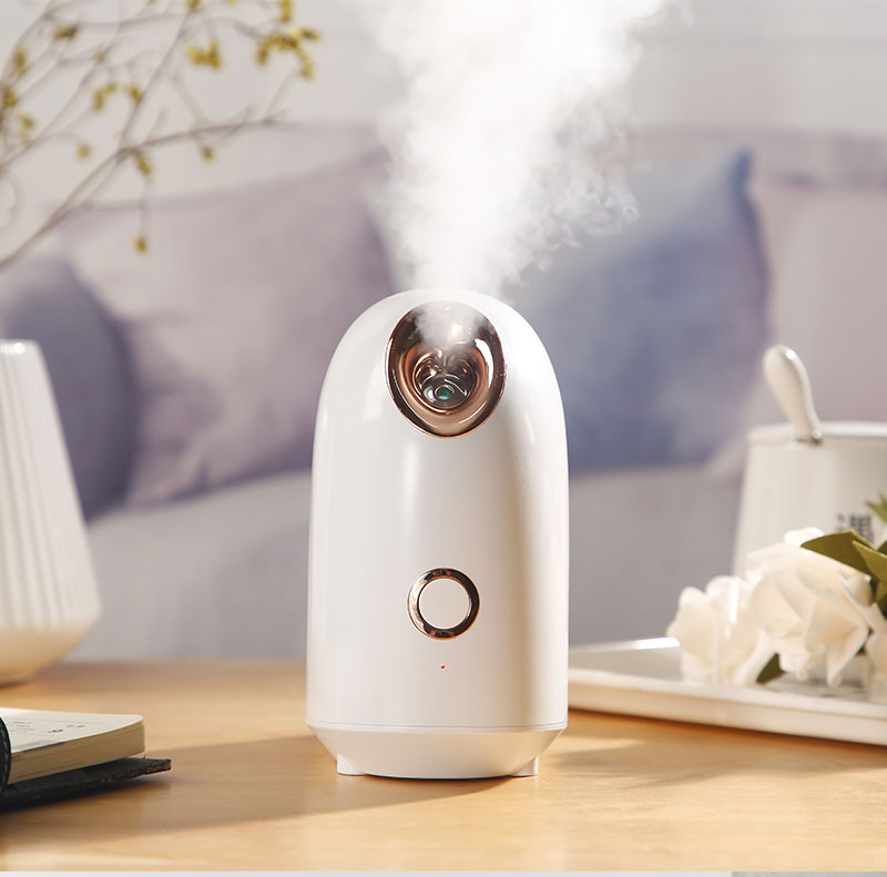 Diffuseur de vapeur visage